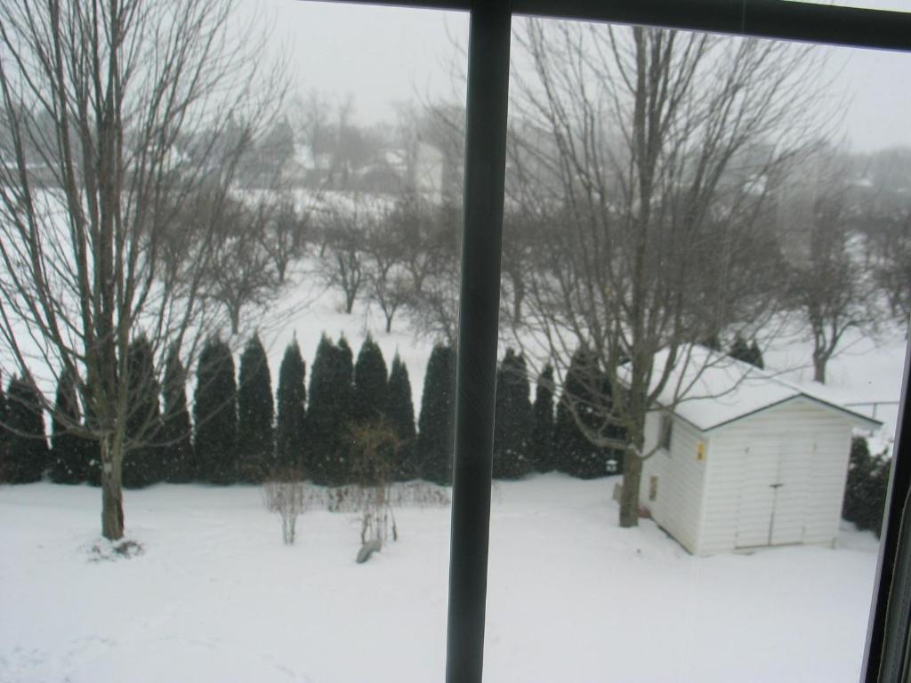 Arnica Bed&Breakfast Bed and Breakfast Niagara-on-the-Lake Esterno foto
